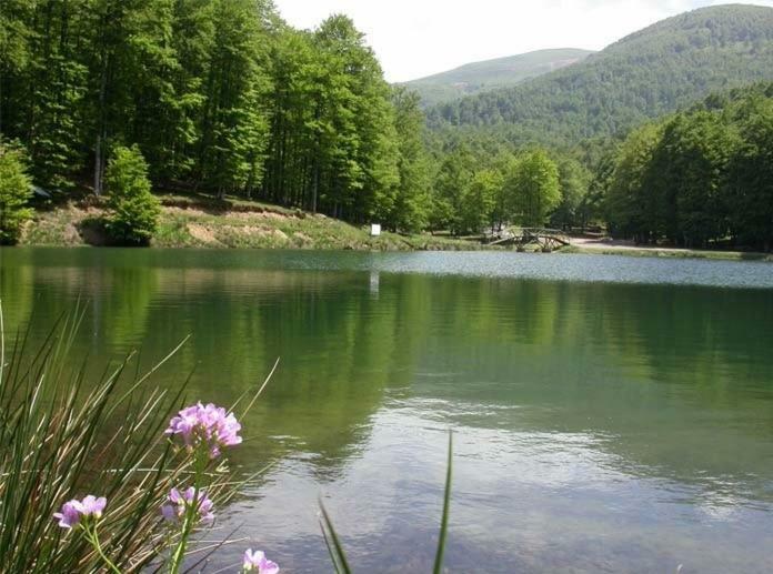 Вілла Gite Botiga Saint-Jean-le-Vieux  Екстер'єр фото